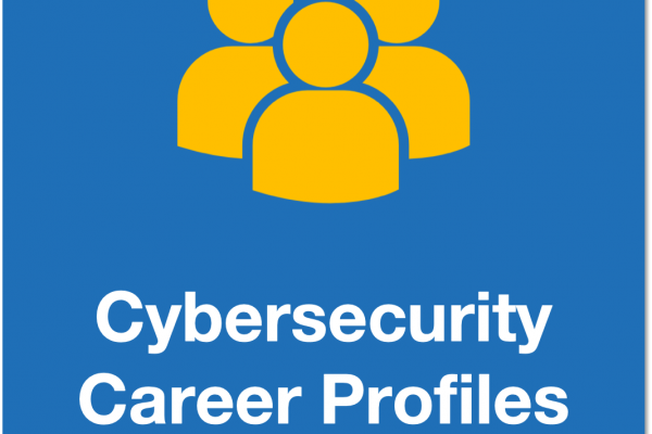 Cybersecurity Career Awareness Insights